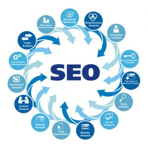 mississauga seo