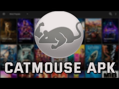 cat mouse apk