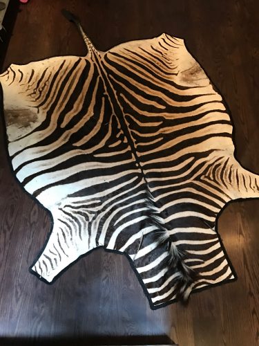 Zebra Skin Rug