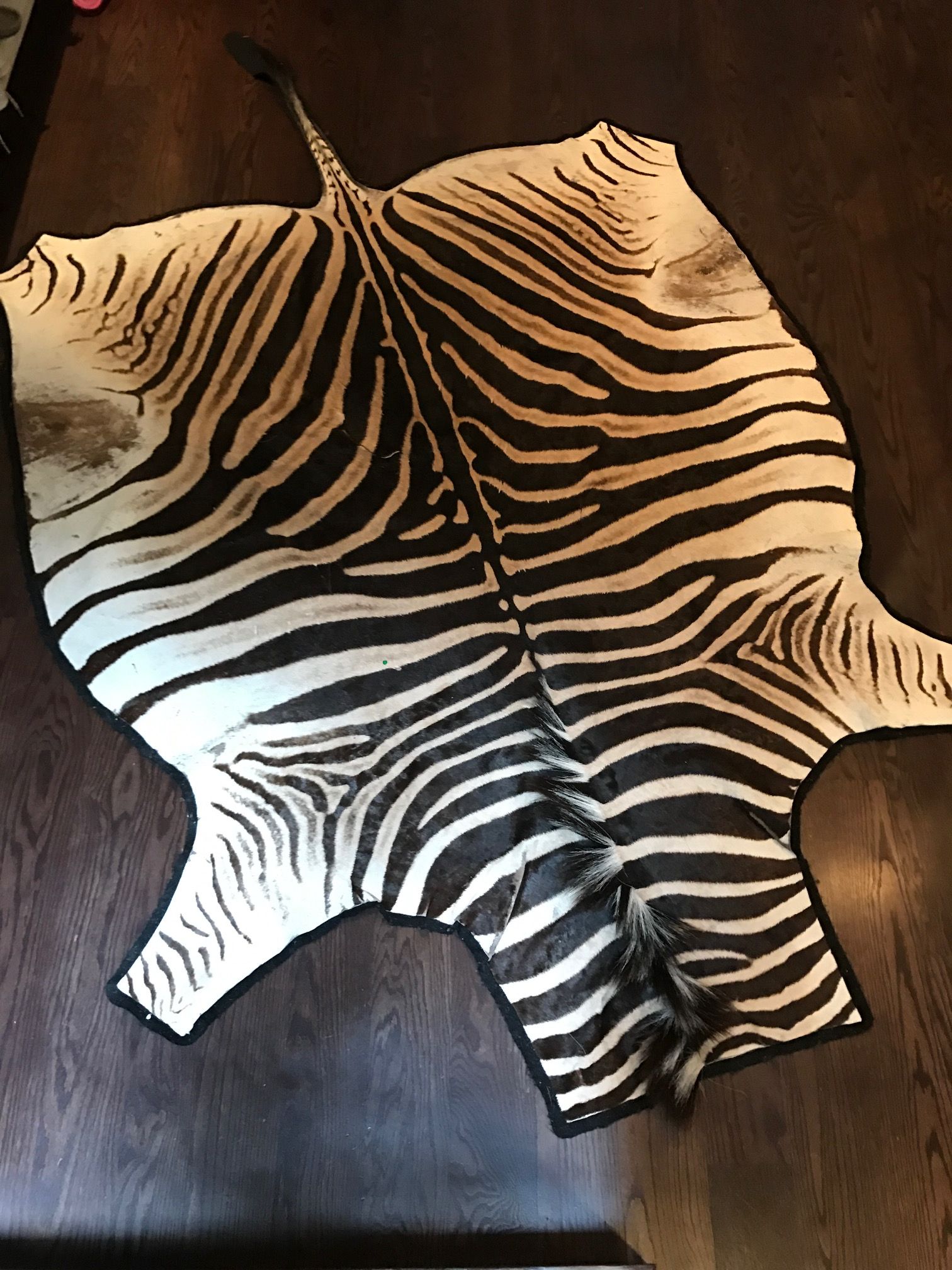 Zebra Skin Rug