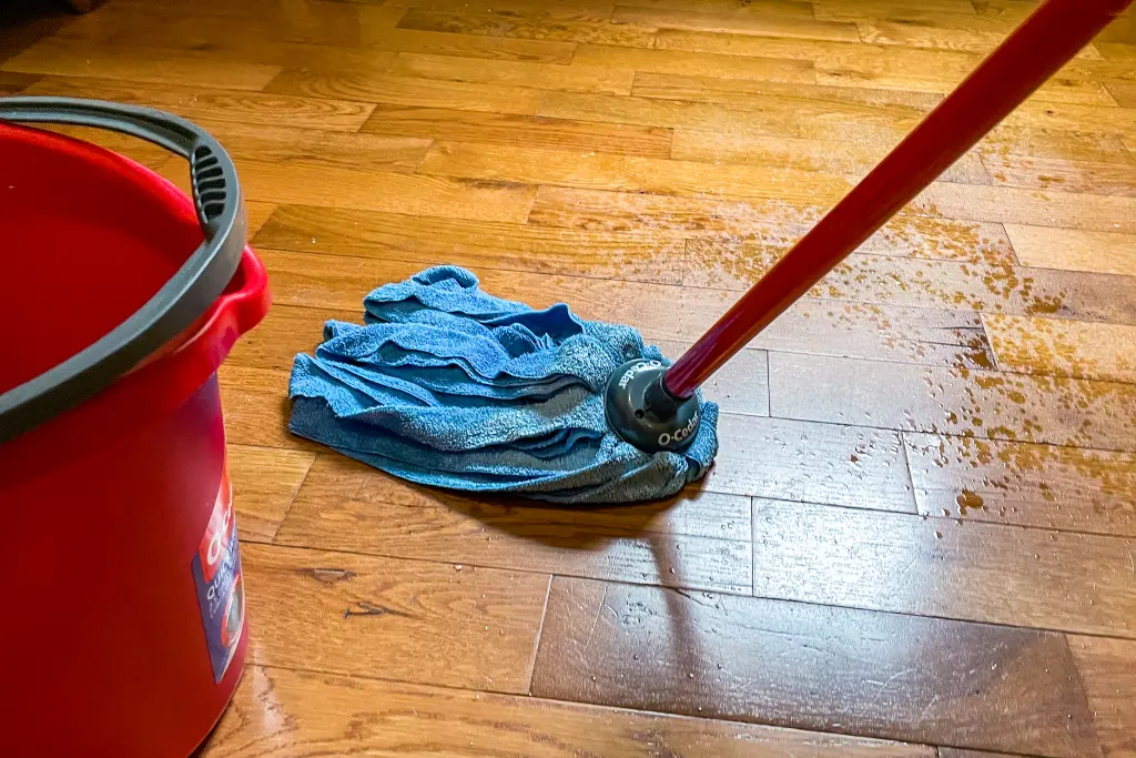 Floor Cleaning