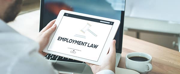 Employment Lawyer