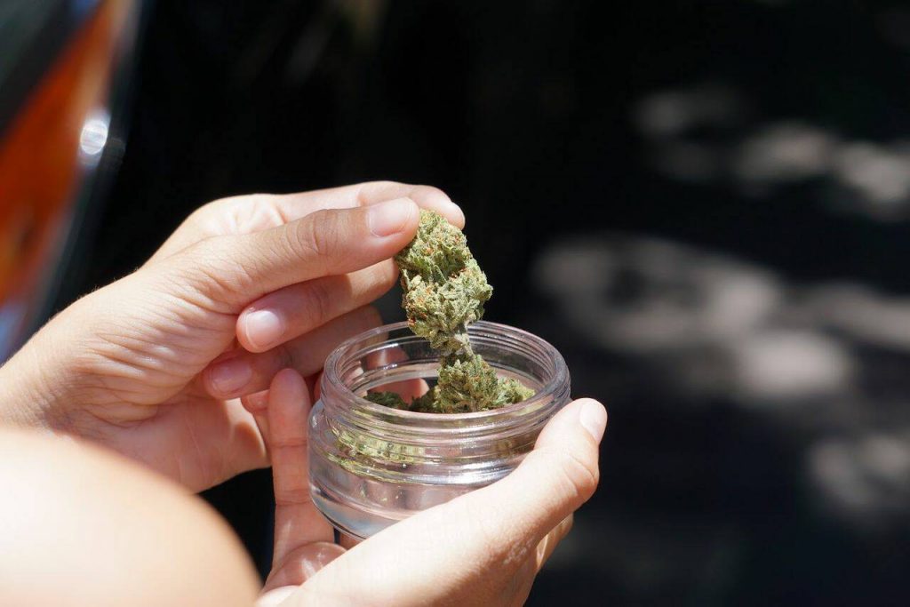 THCa Flower in Holistic Health
