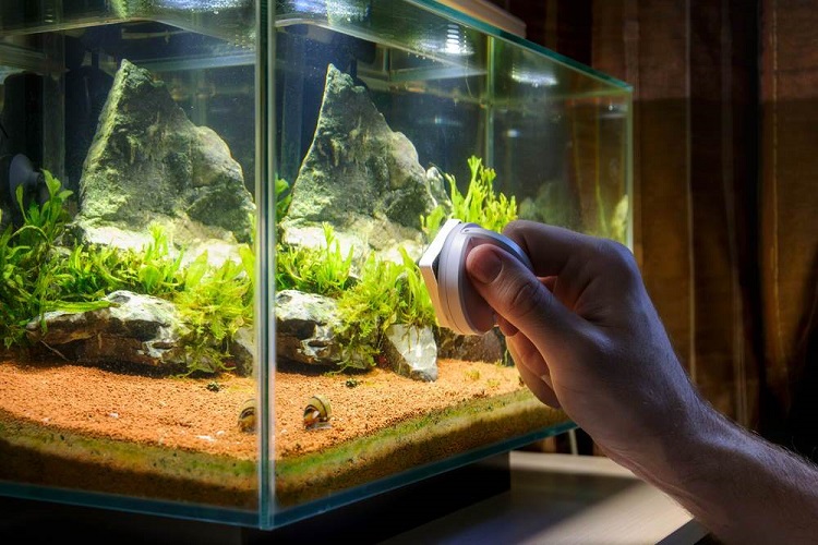 aquarium installation