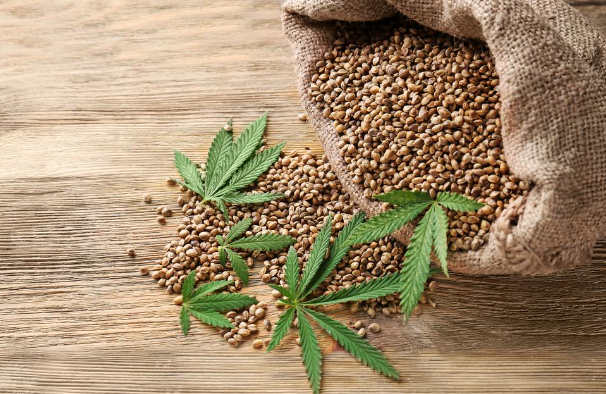 Modern Weed Seeds
