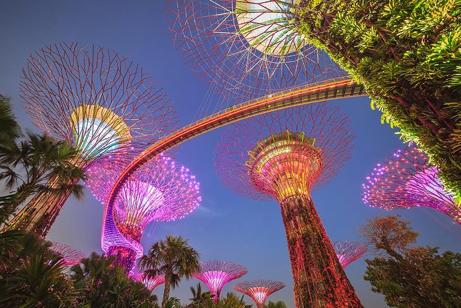 One Marina Gardens