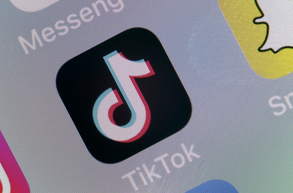 TikTok Video Downloader